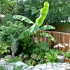 Giant Black Bamboo Fence Panel 90 x 180 cm