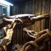Black Bamboo Fencing Roll 180 x 250 cm