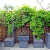 Premium Bamboo Privacy Screen 90 x 250 cm Dark Brown