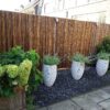 Black Bamboo Fencing Roll 180 x 180 cm