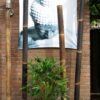 Black Bamboo Pole Java &Oslash; 5-7 x 400 cm