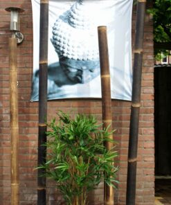 Black Bamboo Pole Java &Oslash; 7-10 x 150 cm